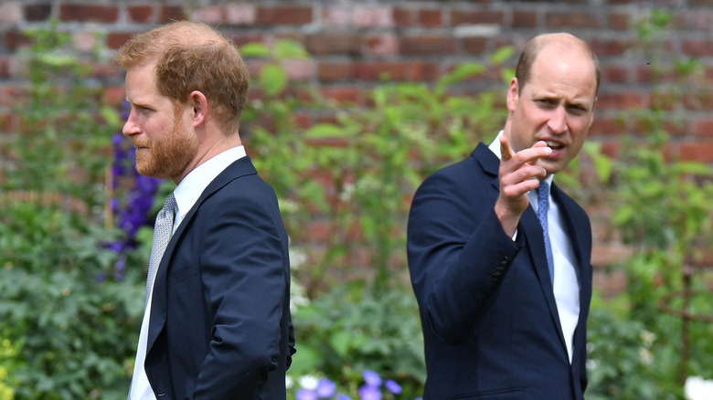 Le prince Harry dos au prince William