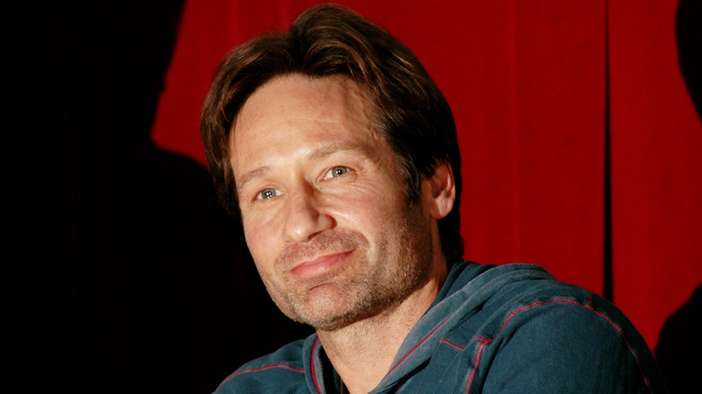 David Duchovny souriant