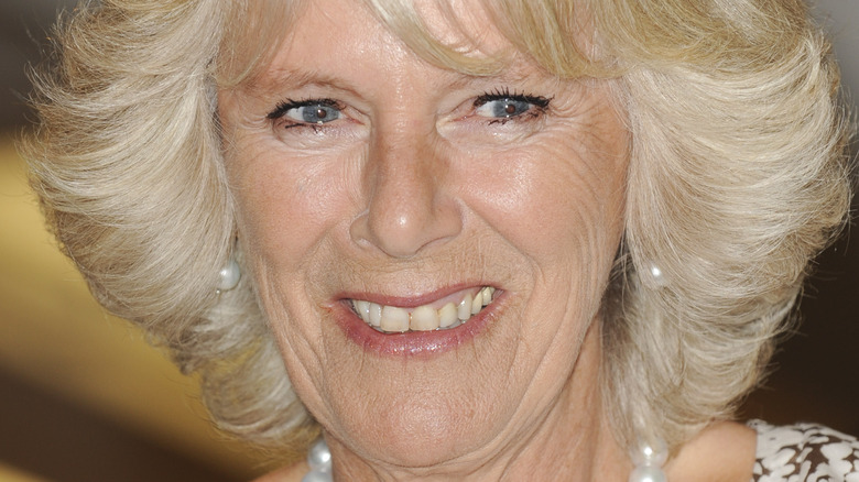 Camilla Parker-Bowles souriante