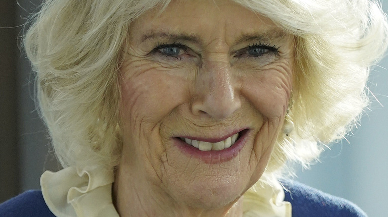 Camilla Parker-Bowles souriante