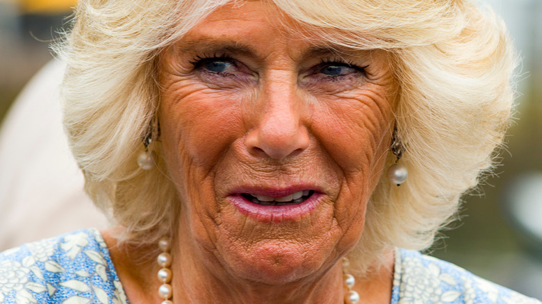 Camilla Parker Bowles souriante