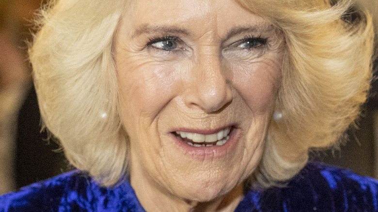 Camilla Parker Bowles souriante