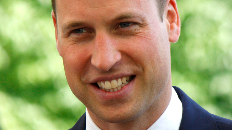 Le Prince William sourit