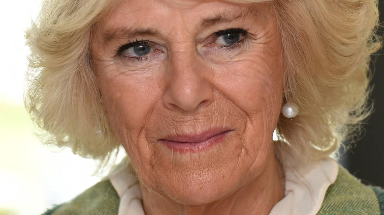 Camilla Parker Bowles semble inquiète