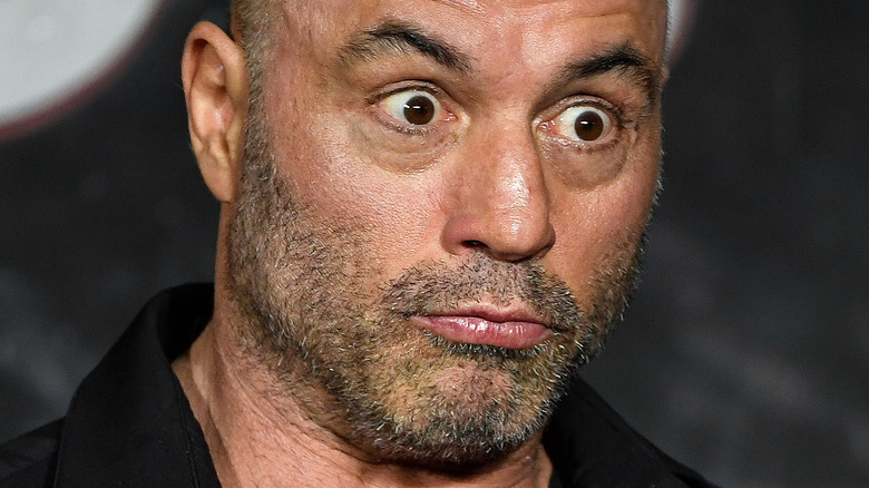 Joe Rogan posant