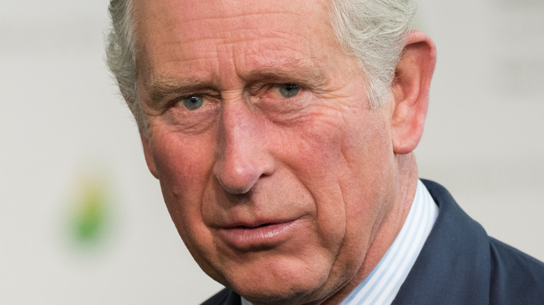 Le prince Charles jette un regard perplexe sur un événement