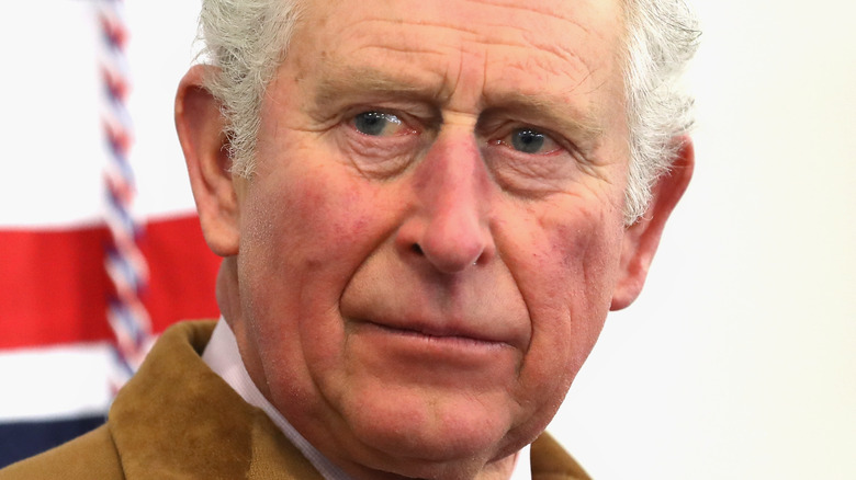 Le prince Charles regarde au loin