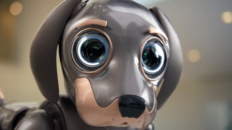 C’est la chanson de la publicité Robo Dog Super Bowl 2022 de Kia