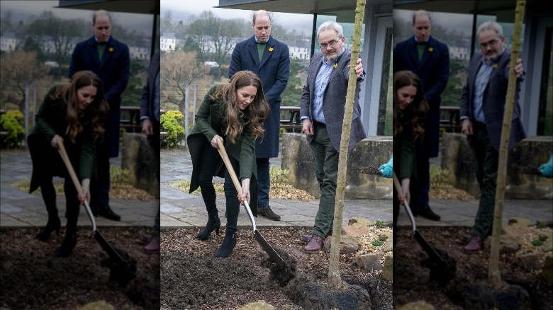 Kate Middleton plantant un arbre sous le regard du prince William