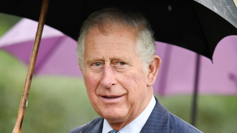 Le prince Charles souriant sous un parapluie