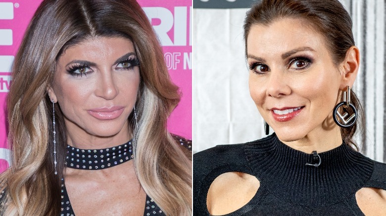 Teresa Giudice et Heather Dubrow sourient dans 