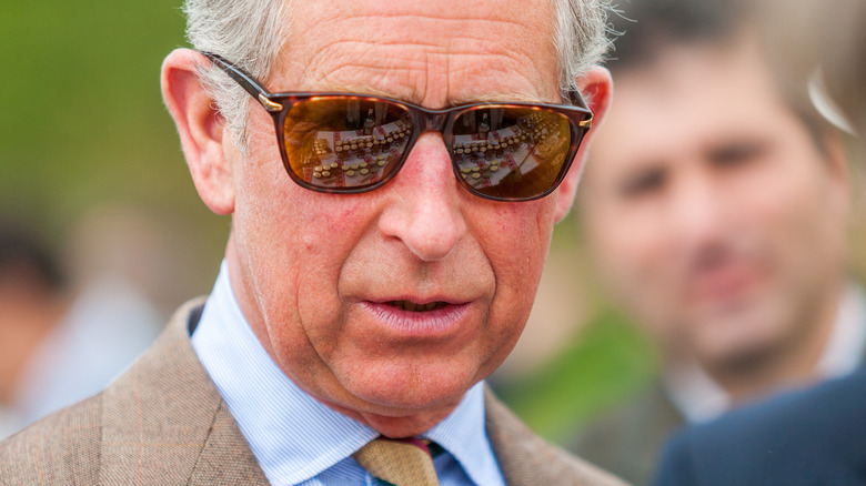 Le prince Charles posant