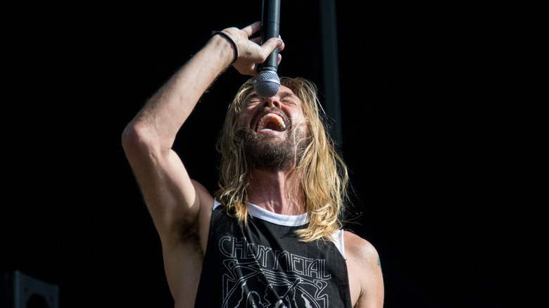 Taylor Hawkins en spectacle