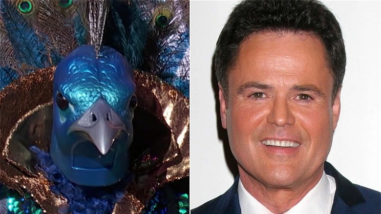 Image partagée de Peacock et Donny Osmond de Masked Singer