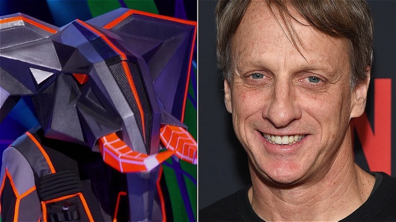 L'éléphant masqué du chanteur et l'image partagée de Tony Hawk