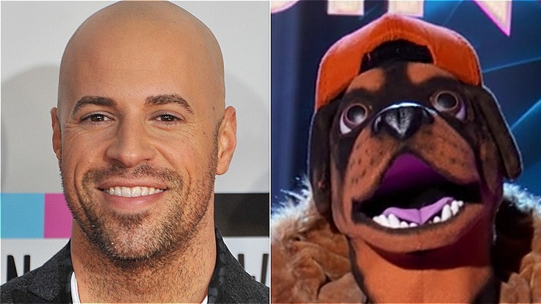 Rottweiler de Chris Daughtry et Masked Singer se séparent