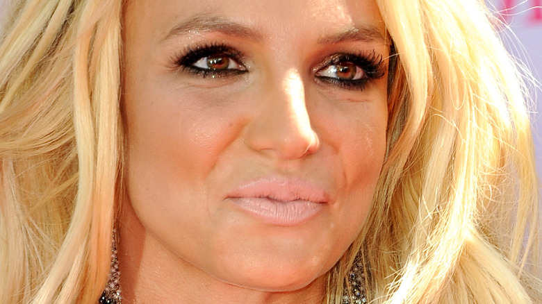 Britney Spears révèle l’étrange façon dont elle a adopté son chien