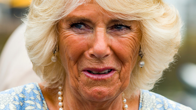 Camilla Parker Bowles a eu la meilleure réaction en rencontrant l’acteur qui la joue dans la couronne