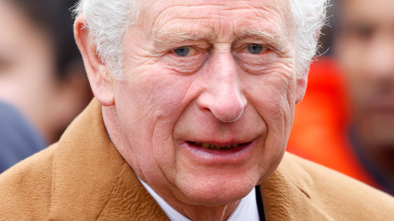 Prince Charles souriant