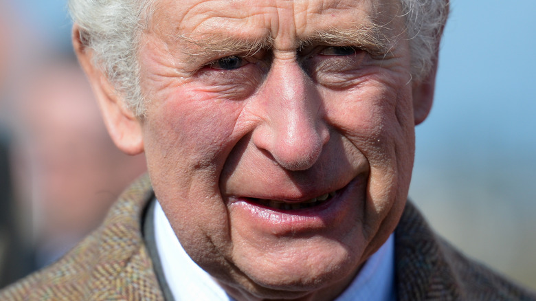 Le prince Charles regarde au loin