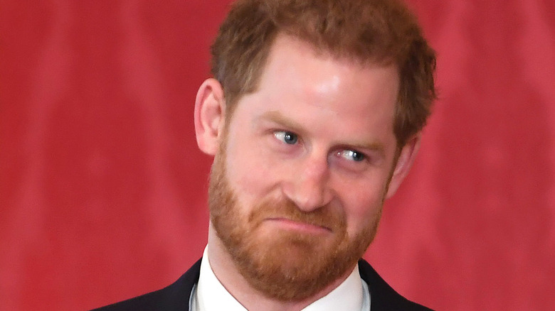 Le côté ludique du prince Harry fait craquer tout le monde