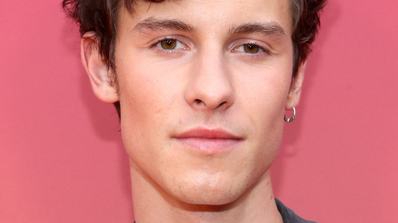 Shawn Mendes révèle ce qu’il déteste à propos de sa rupture avec Camila Cabello