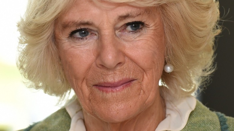 Un gros plan de Camilla Parker Bowles