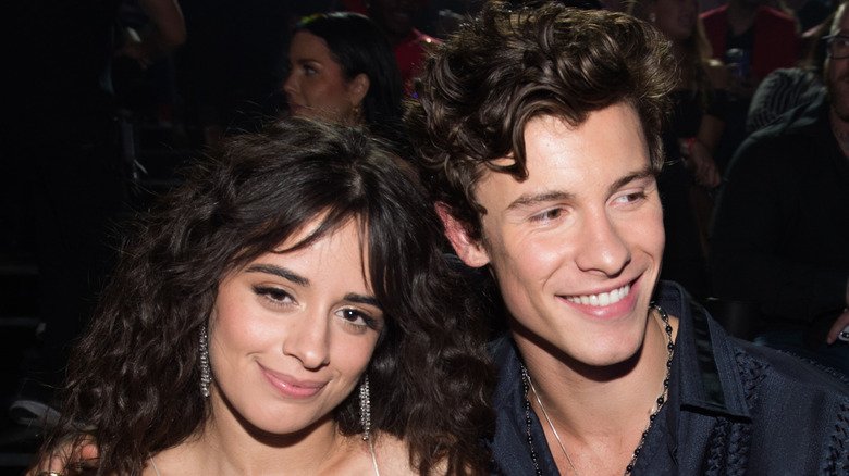 Shawn Mendes et Camila Cabello posent