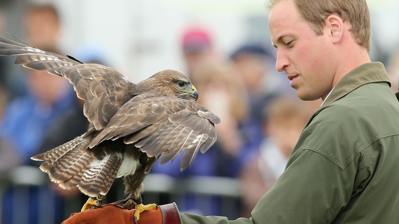 Prince William tenant un oiseau