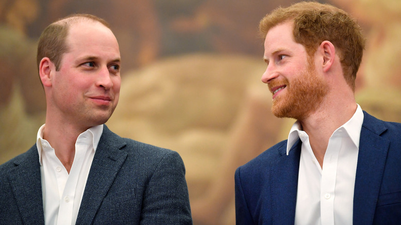 Le prince William et le prince Harry sourient 