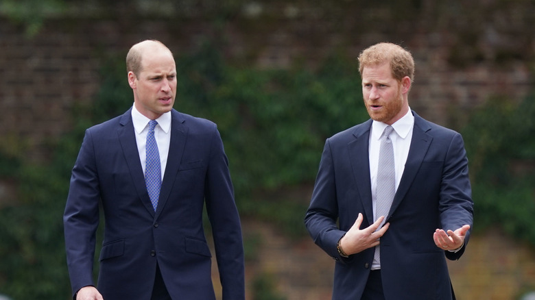 Le prince Harry et le prince William parlent