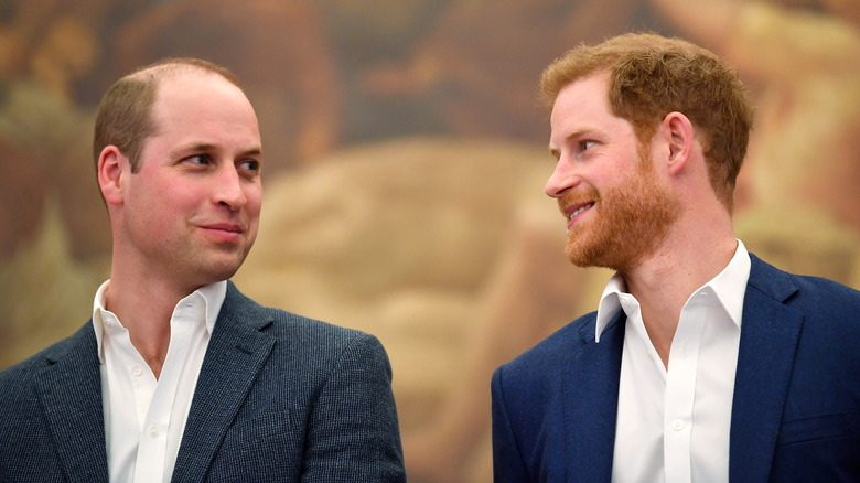 Le prince William et le prince Harry parlent