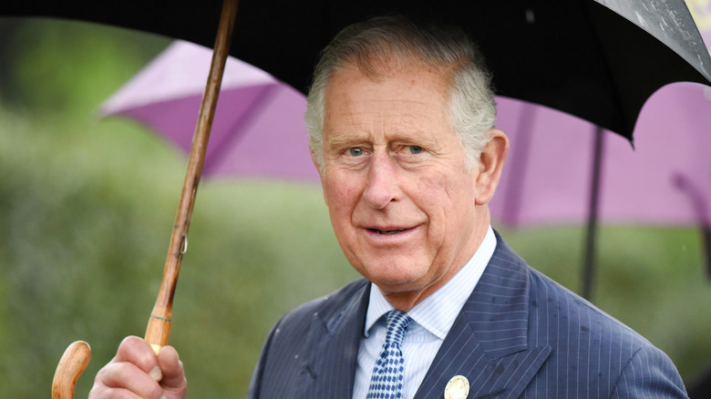 Le prince Charles marchant