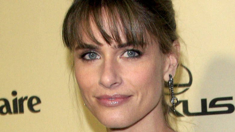 Amanda Peet souriante