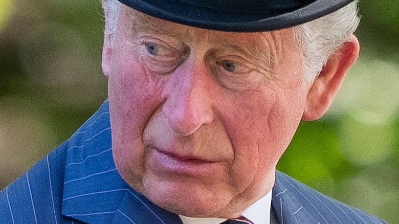 Le prince Charles regarde