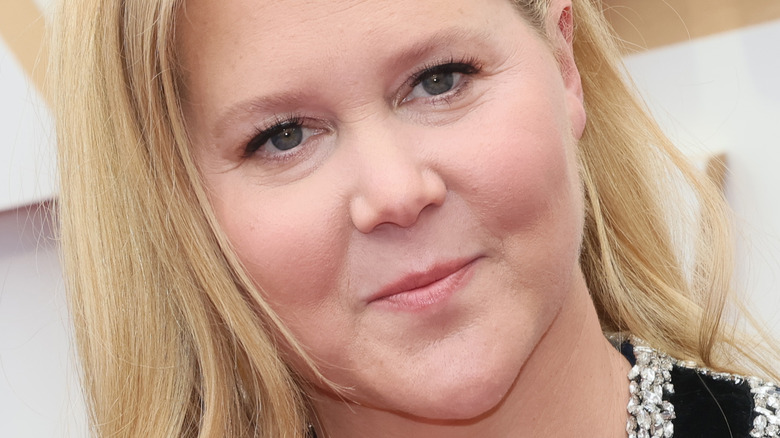 La dernière comparaison d’Amy Schumer à propos de Will Smith vous laissera sans voix