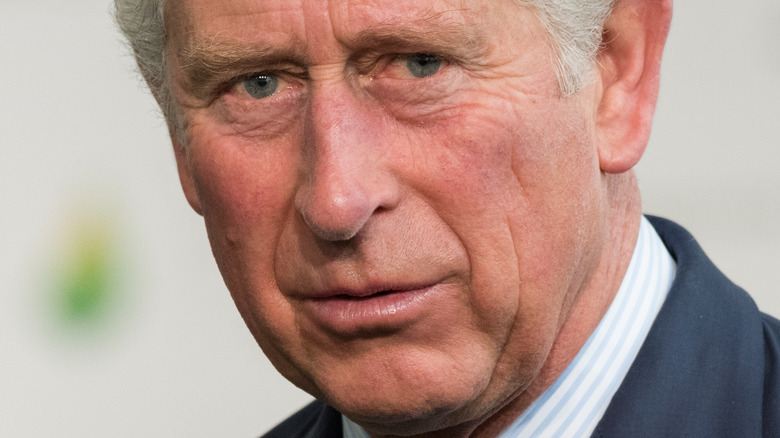 Le prince Charles est-il vraiment juste au-dessus du comportement du prince Harry ?