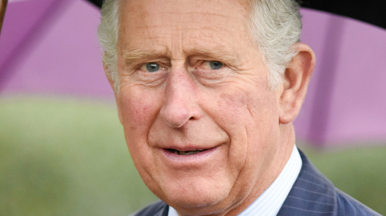 Le prince Charles sourit en 2008