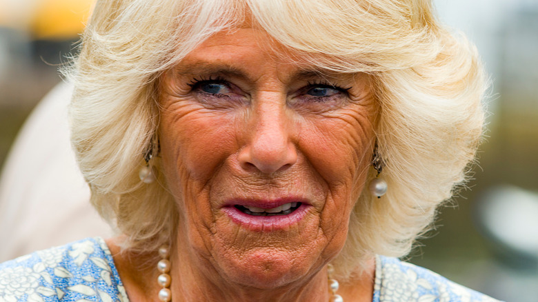 Camilla Parker-Bowles photographiée dans une foule