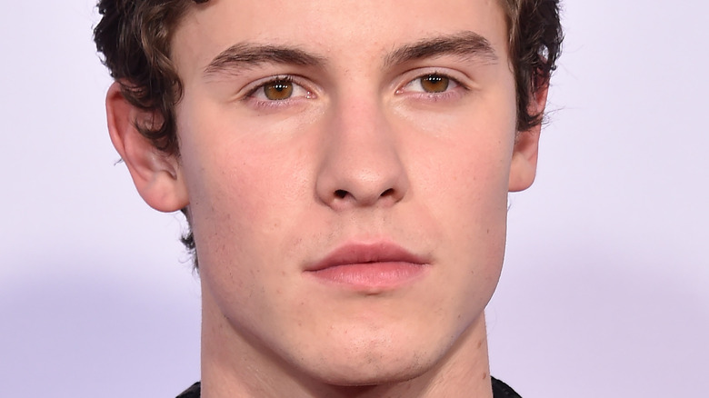 Shawn Mendes devient personnel dans une note cryptique sur ses luttes