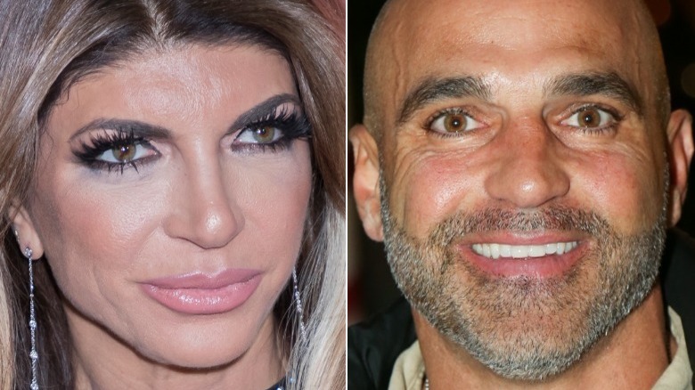 Teresa Giudice et Joe Gorga