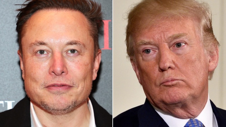 Image partagée entre Elon Musk et Donald Trump