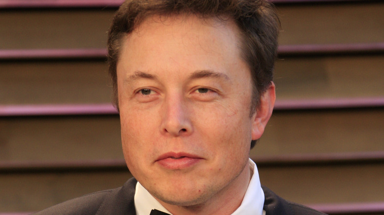 Elon Musk pose