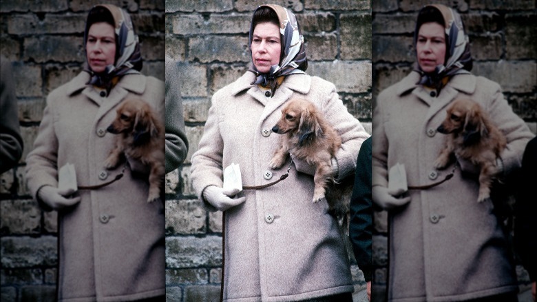 La reine Elizabeth II avec un chien en 1976