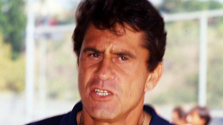 James Farentino posant