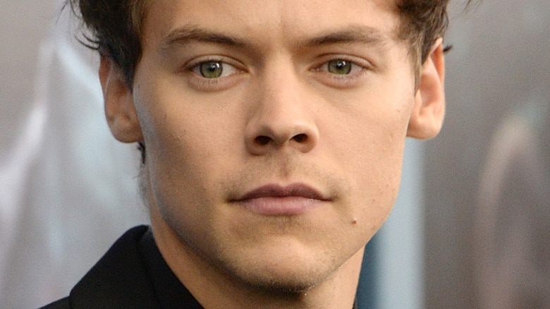 Comment Harry Styles se sentait vraiment à l’idée de travailler avec sa petite amie Olivia Wilde