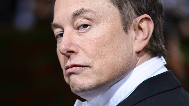 Elon Musk remet les pendules à l’heure sur l’interdiction de Twitter de Trump