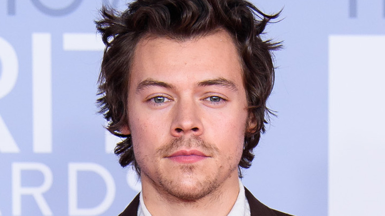 Harry Styles aborde enfin la théorie de la lumière du jour de Taylor Swift