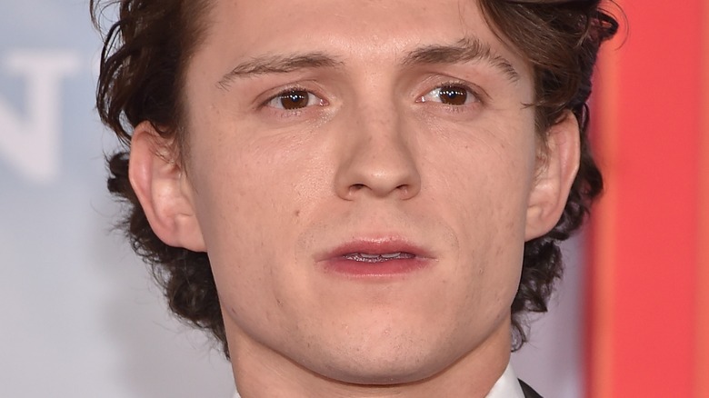 La vérité sur les frères de Tom Holland