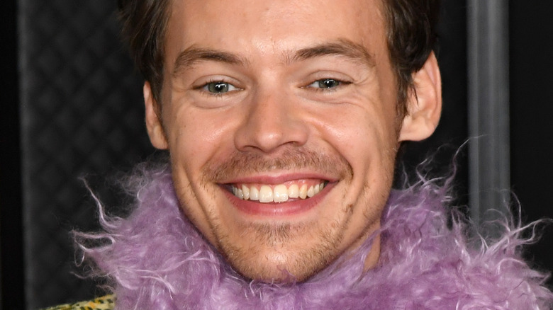 Les rumeurs de grossesse de Harry Styles et Olivia Wilde expliquées